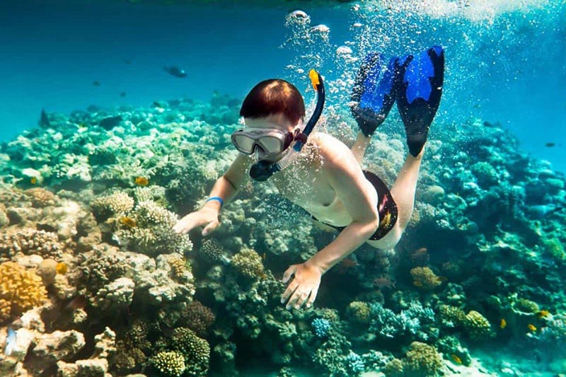 Snorkeling Spots for Coral Viewing Across Vietnam